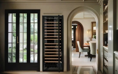 Luxury Wine Cooler Options for Villas and Penthouses